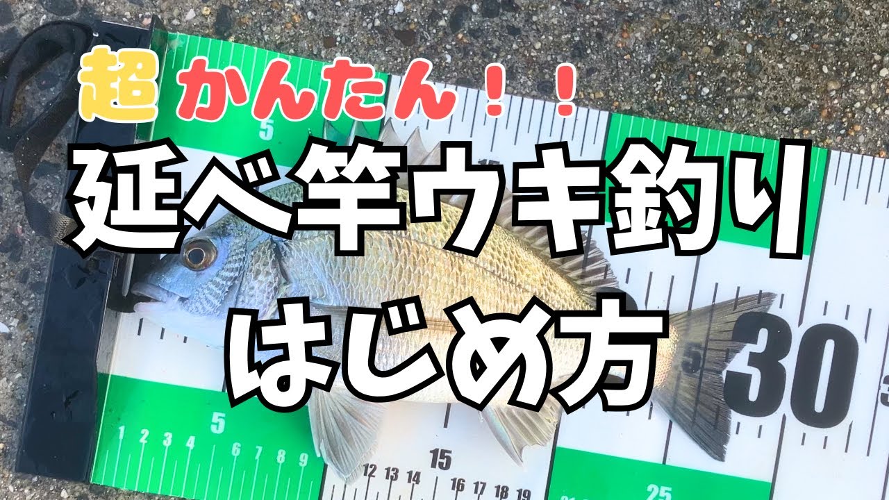 超簡単！延べ竿ウキ釣りはじめ方、アジもメジナもチヌも釣れるこの釣り方が面白い