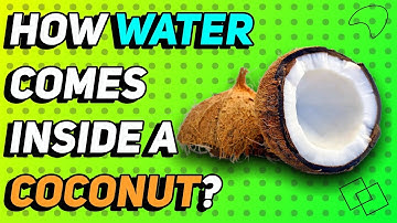 How Water forms inside Coconut?