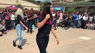 UIC Gammas Meet the Greeks 2017