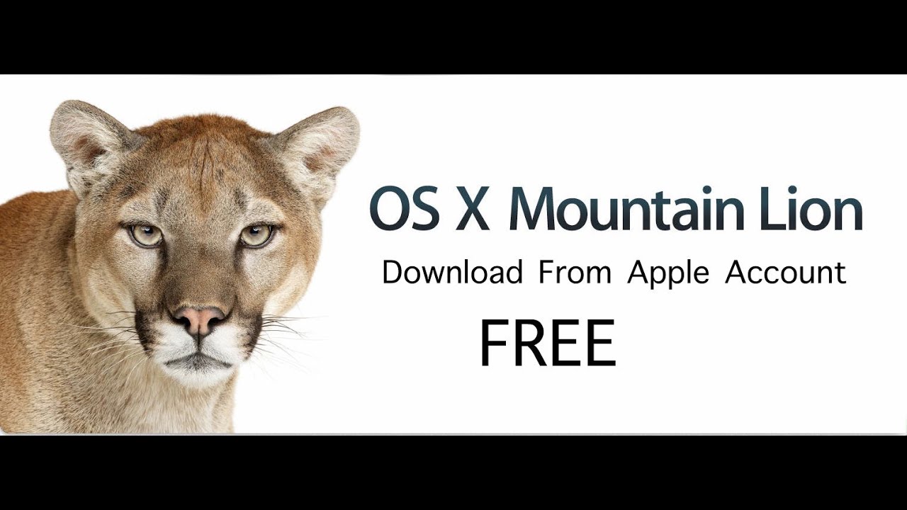 Download mountain lion from apple cider