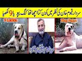 Sir your favourite dog 9 lakhia and king pappo  top of pakistan 2 biggest bully kutta by nafa tv