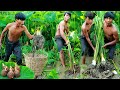 Survival in the rainforest-mans found taro for taro fries -Eating delicious