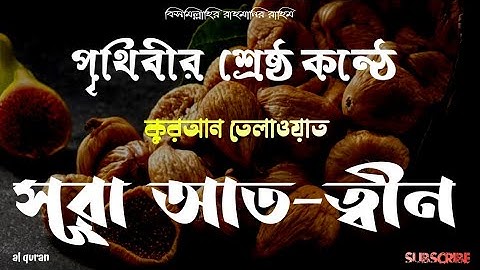 095) সূরা আত-ত্বীন ▶ Surah At-Tin ▶ তেলাওয়াত ▶ سورة التين ▶হৃদয় ছোঁয়া তেলাওয়াত ▶ @alquran-f1s