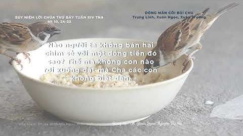 Suy niệm Lời Chúa Thứ Bảy tuần XIV TN A Dòng Mân Côi