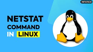 How to use netstat command in Linux