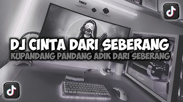 DJ KUPANDANG PANDANG ADIK DARI SEBERANG || CINTA DARI SEBERANG VIRAL TIKTOK FULL SONG MAMAN FVNDY