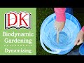 Biodynamic Gardening: How to Dynamize Biodynamic Preps