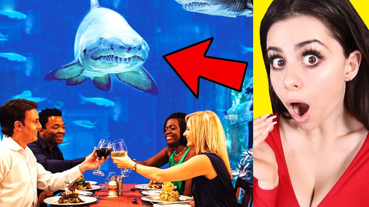 Amazing Restaurants You Wont Believe ! YouTube Amazing Restaurants You Wont Believe ! YouTube