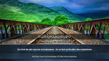 أَفَرَأَيْتَ مَنِ اتَّخَذَ إِلَهَهُ هَوَاهُ | سورة الجاثية | القارئ صفوت قلموش .HD