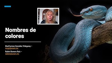 Nombres de colores en Python Turtle