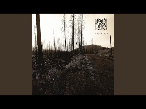 NONE (13) — Never Came Home