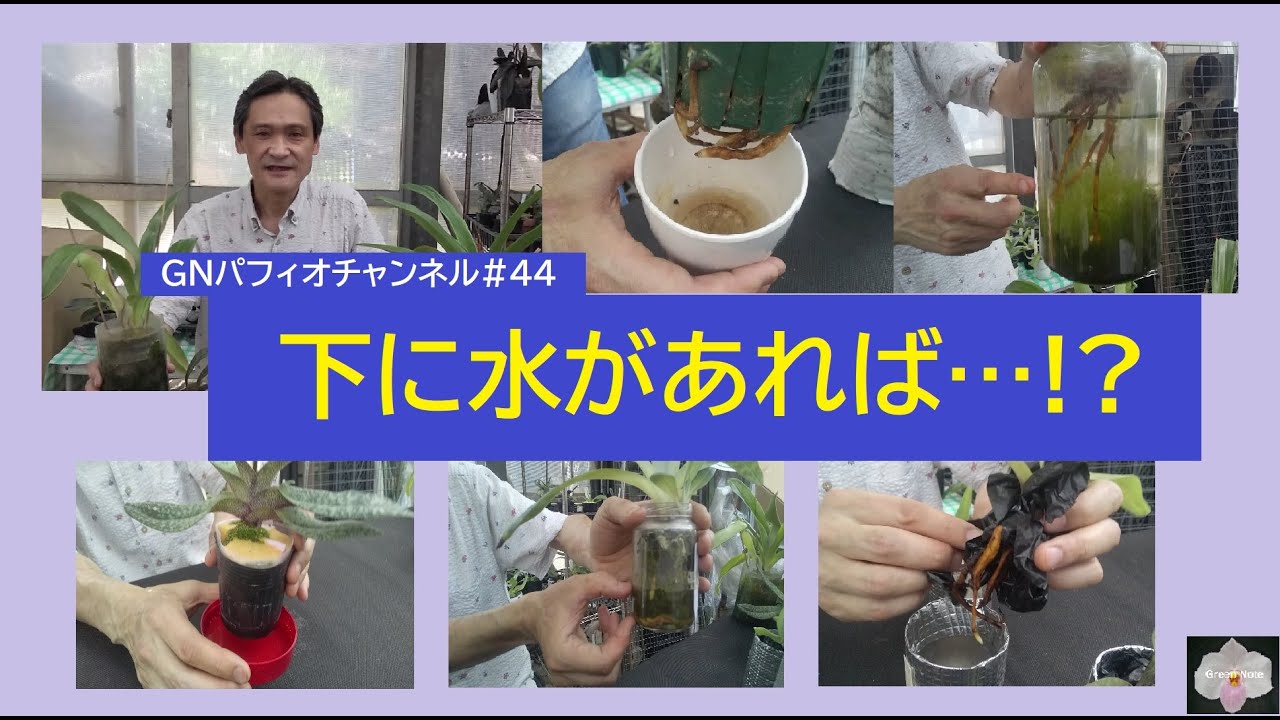 ♯44 下に水があれば…!?