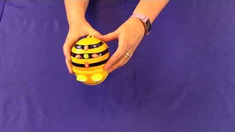 Discover Together: Bee Bot Introduction