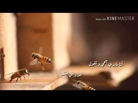 أنا مابدي تجي وتقول حالات واتس آب للسيده فيروز
