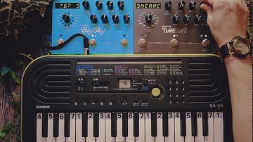 Ambient Jam with Toy Synth | Casio SA-46 | Strymon TimeLine & BigSky | Experimental | Chill