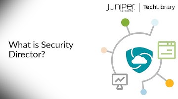 What is Security Director?