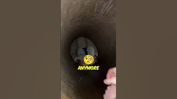 Man Gets Stuck in a Pipe, Then This Happens