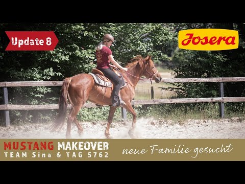 MUSTANG MAKEOVER 2022 - Vertiefung der Hilfen im Sattel? | Team Sina Update 8