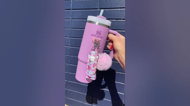 Testing New Stanley Accessories #stanleytumbler #accessories #stanleycup