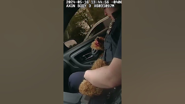 Emotional moment NYPD cop rushes to save dog that was thrown off ledge by owner