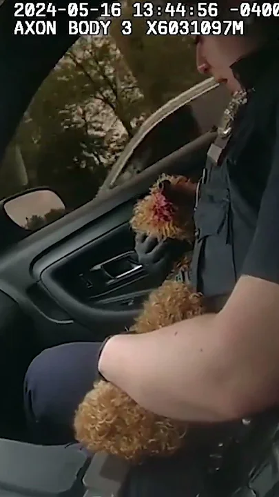 Emotional moment NYPD cop rushes to save dog that was thrown off ledge by owner