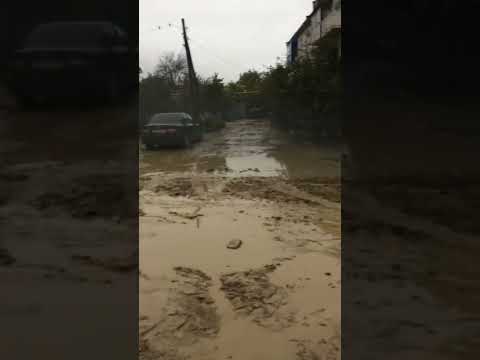 Село Солдато-Александровское, придворовая