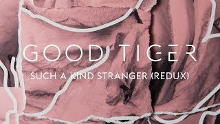 Good Tiger "Such a Kind Stranger (Redux)" (Blacklight Media)