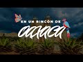 Video de San Dionisio Ocotlan