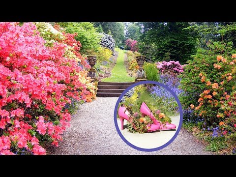 Video: Uređenje vrtova - ideje za uređenje vašeg dvorišta