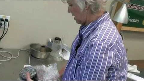 Lottmans video  for training Purposes