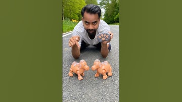 Afstandsbediening 2ta Baby Camel 🐪 Unboxing