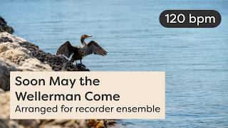 Soon May the Wellerman Come (120 bpm) ~ arranged for recorders