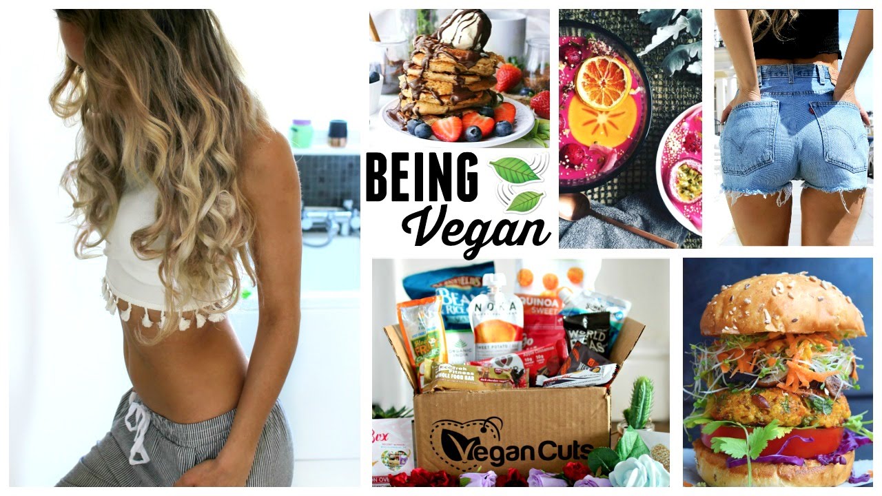 my vegan journey