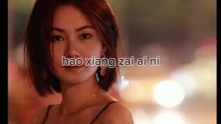 Hao Xiang Zai Ai Ni 好想再爱你  #lyrics#liriklagu #mandarinsong#haoxiangwoaini#sadsong