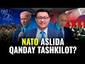 Nato aslida qanday tashkilot