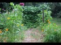 Mid July Garden Highlights-Update Tomatoes, Flowers, Watermelons, Beans, And More