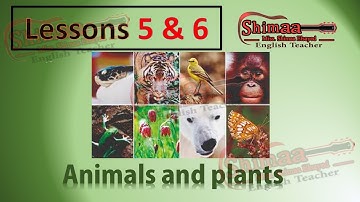 G4 - connect plus - (unit 2) [Lessons 5 & 6]