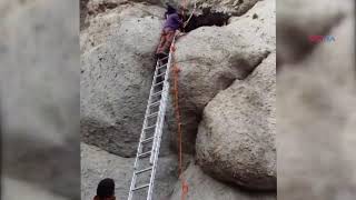 Dersim Ardıç Köyünde Kayalıklarda Mahsur Kalan Oğlaklar Kurtarıldı