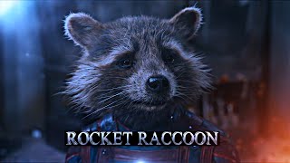 Rocket Raccoon | Eu Não Sou Um Monstro!