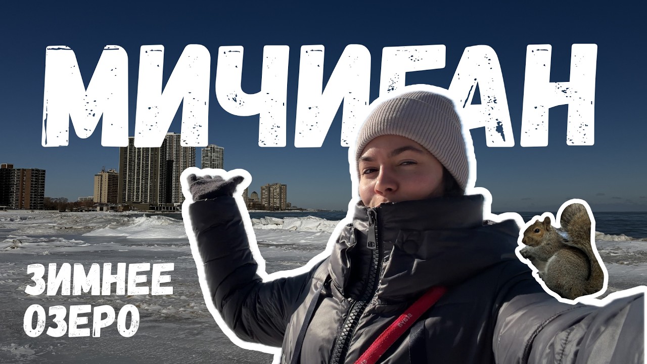 озеро МИЧИГАН зимой | идеальное место для прогулки с собакой | морозный Чикаго