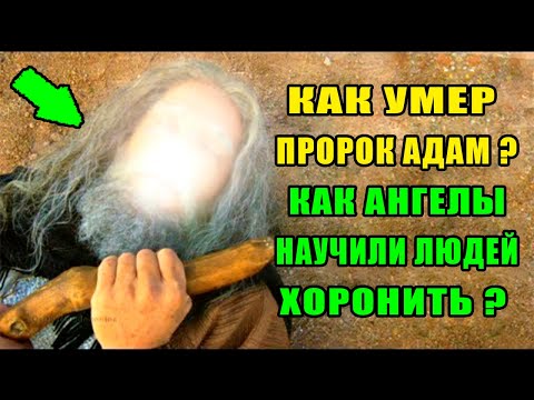 Видео: Сколько лет было Адаму и Еве, когда они умерли?