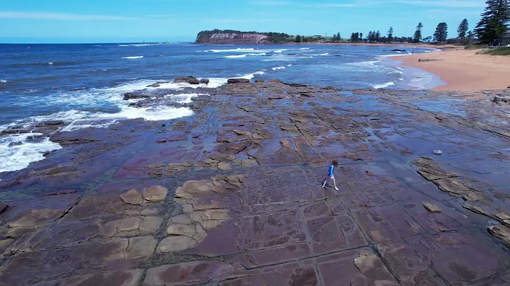 Beach Trip at Collaroy NSW 26th November