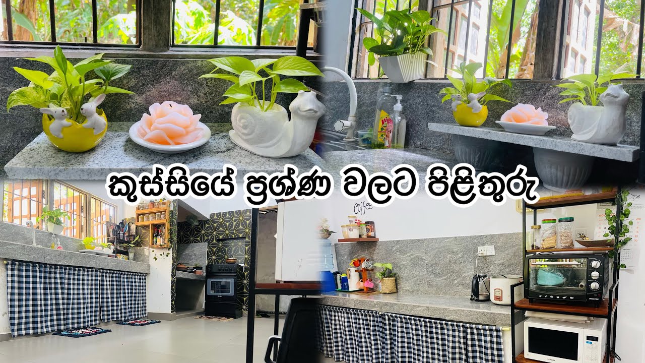 ඔයාලා මගෙන් අහපු කුස්සියේ ප්‍රශ්ණ වලට පිළිතුරු #mykitchen මගේ පුංචි කුස්සිය❤️🪴😌