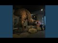 Moa V 2 Tangi Mō Te Kararehe Nui 
