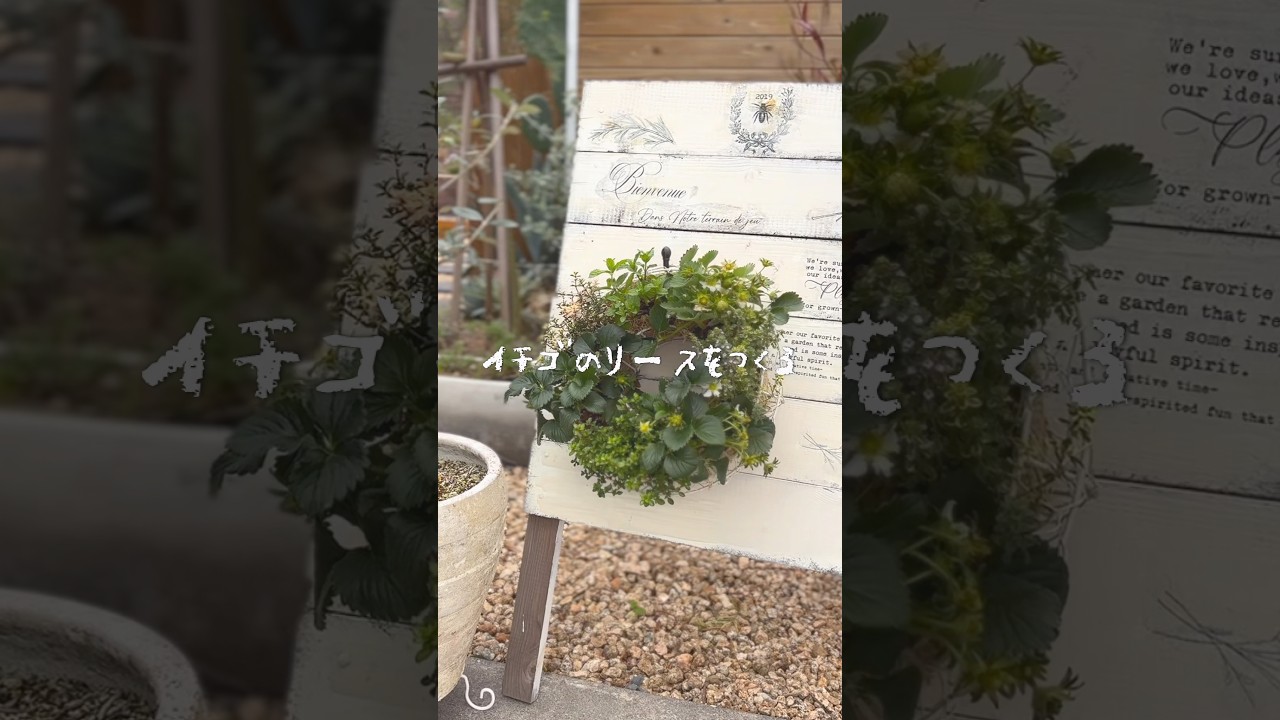 イチゴのリースつくってみた🍓