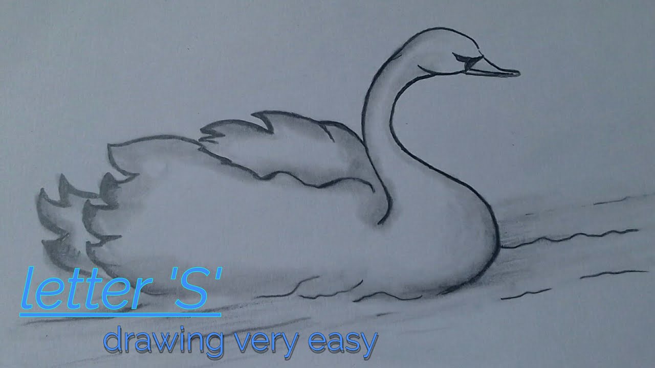 100 Things To Draw: Sketch Pad Art by Song Script, Swan