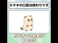 タヌキの口臭は終わりです #ショートアニメ