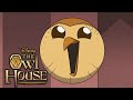 All hooty moments  the owl house