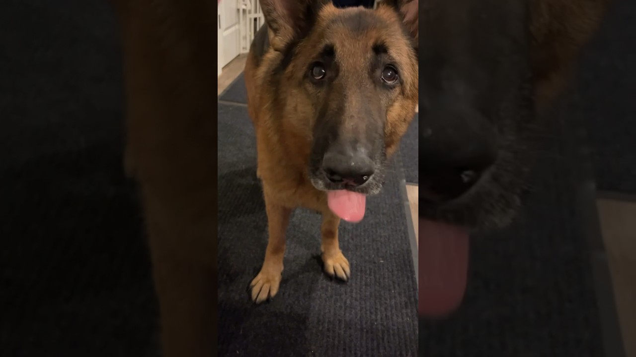 …because sharing is caring 