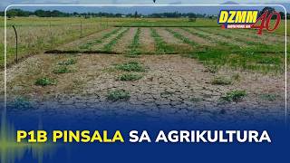 Cagayan Agriculture Suffers P1-Billion Damage From Drought Pdrrmo Pasada Balita 22 June 2026